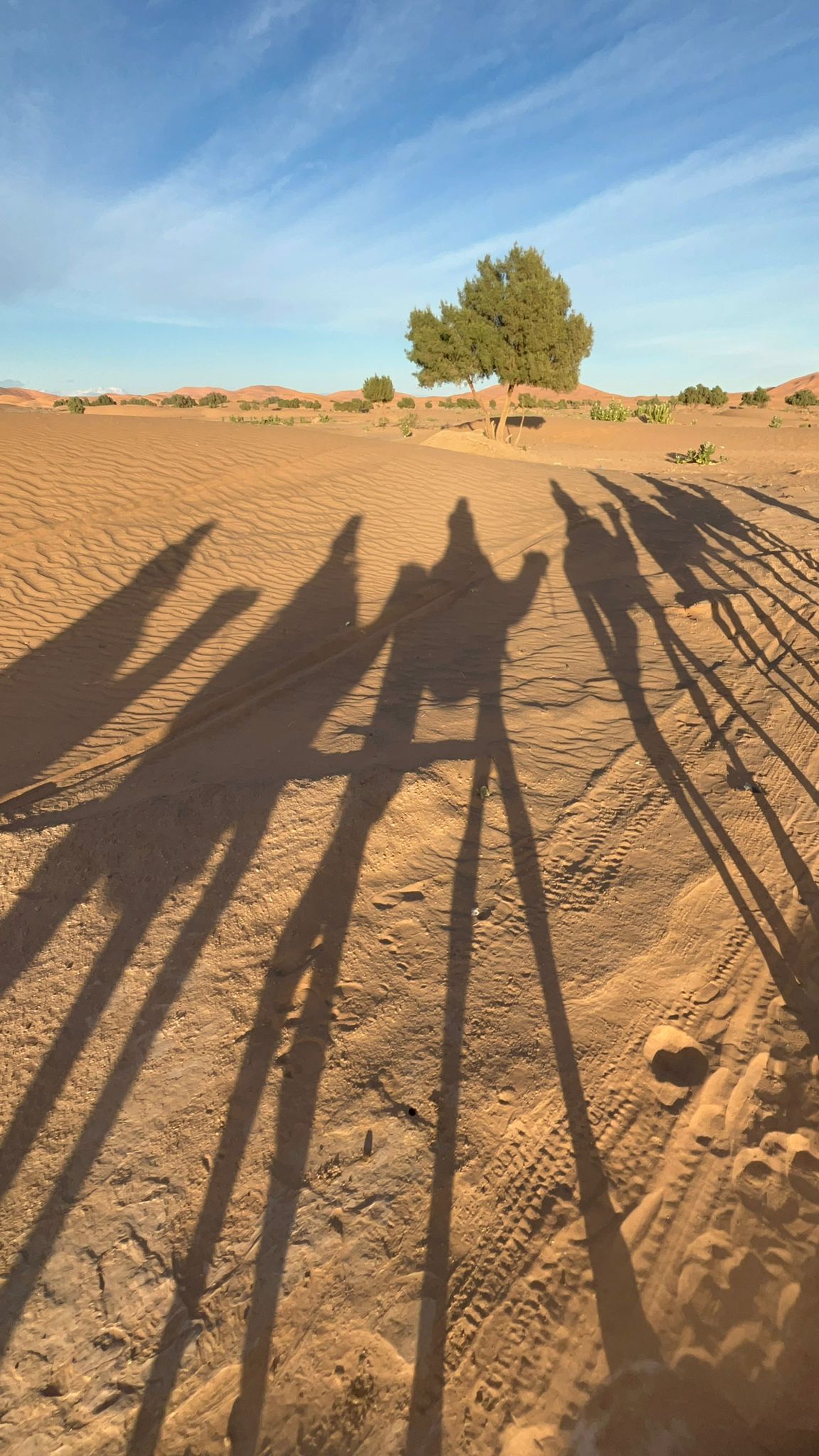 Morocco desert adventure